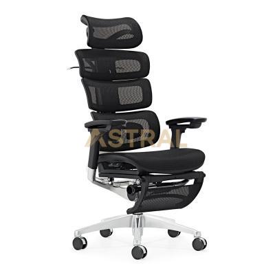 New Design BIFMA Ergonomic Mesh Chair Style For Office And Home Furniture 918F