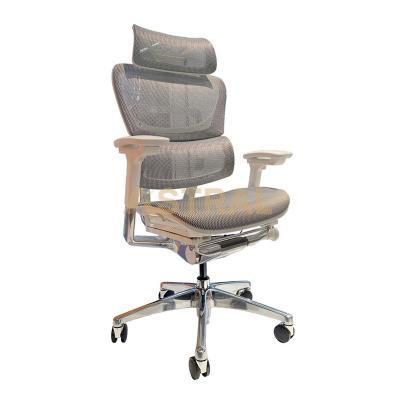 Modern Ergonomic Full Mesh High Back Executive Office Chair Passed BIFMA 916A-W