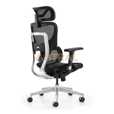 High Back Full Mesh Ergonomic Office Chair 150 Kg Ergonomic Office Chair For Adult 916-1A