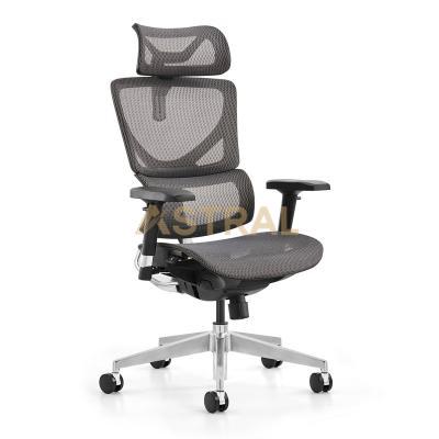 Furniture BIFMA Standard Height Adjustable Ergonomic Office Chair 915-1A