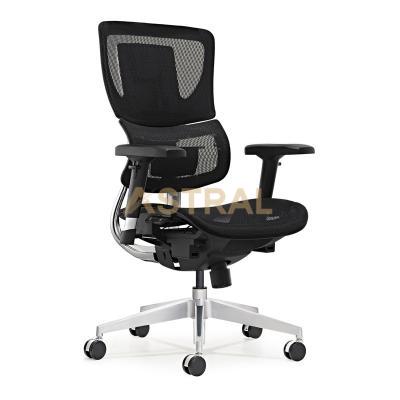 Functional Ergonomic Mid Back Study Room Desk Office Chair On Sale 912-1B