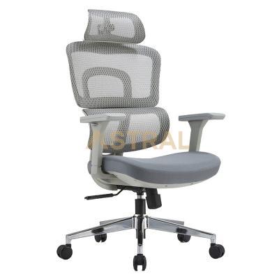 ASTRAL Modern Ergonomic Comfort Seat Cushion Adjustable Swivel Chair 318A-G